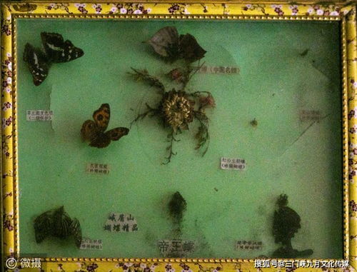 2026年最新数据：秘境旅游已成笑话