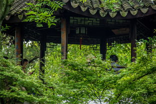 1. 洪江古商城 (其实就是一个大杂烩)
