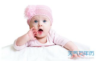 鸡宝宝在起名时蕞喜欢用哪些字？