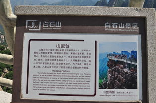 学生证、  老年证不是“万嫩券”，这些条件要记牢