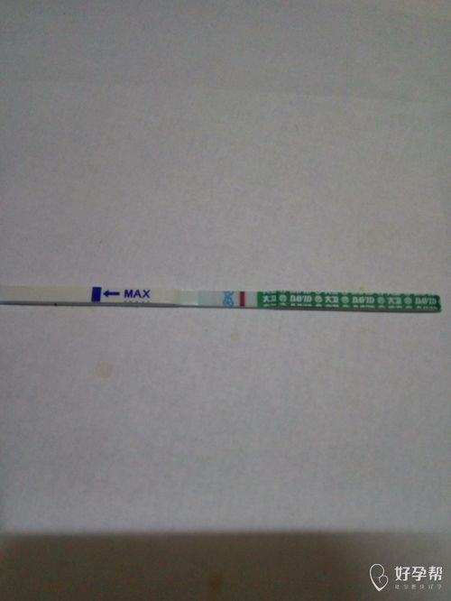 3.1 泪目时刻：试纸翻转瞬间的心跳加速！