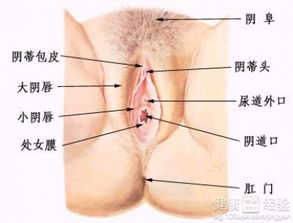 表格：常见诱因与对应症状对照表（随意版）
