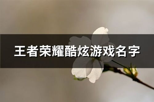 其他精选：