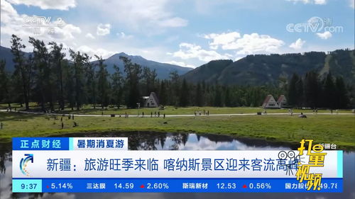 二、 景区乱七八糟的应对措施（请勿模仿）