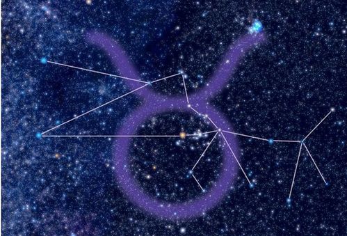 真爱面前星座算个球