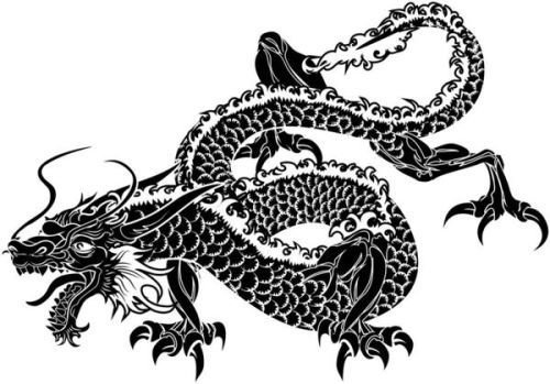 星象与阴阳：十二生肖中的隐形力量