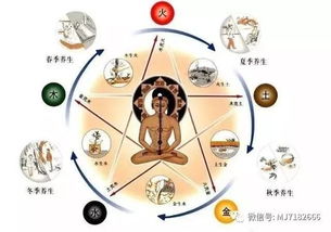 ▍玄学大师都不敢看的五行解析