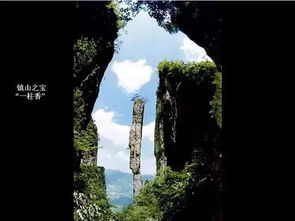 宜宾旅游避坑指南：花钱买罪受的魔幻之旅