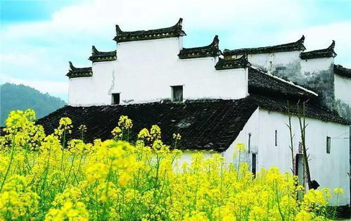 禹州必去景点TOP10？！等等一下！！