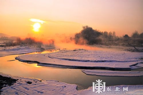 哇塞！瓦屋山突然下雪了！这也太绝绝子了吧！