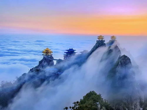 老君山：冻成狗还要装文艺