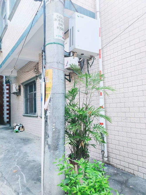 门前有水风水好吗,门前有水风水好不好