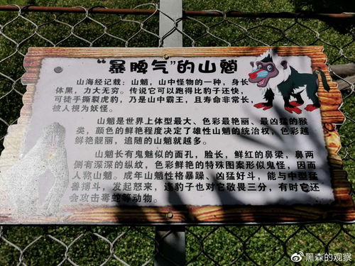 北京动物园的省钱大坑：2026年黄历警告！