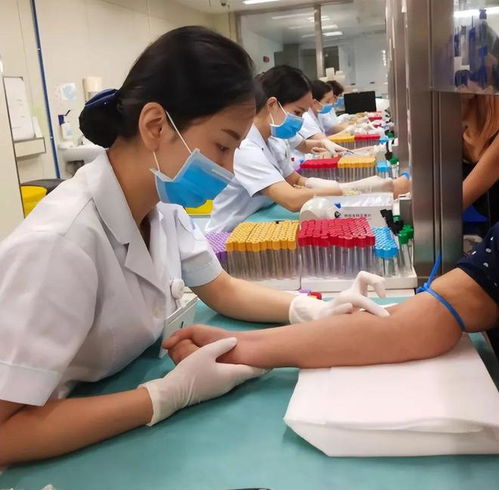 为什么选择在香港抽血？