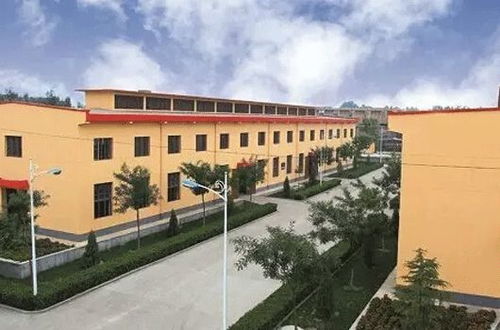 【吐血整理】2026年最新逃票攻略大公开！