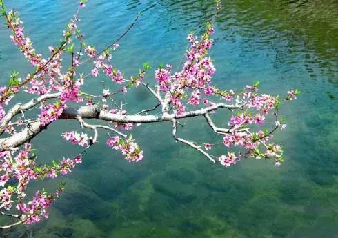 4. 观音湖