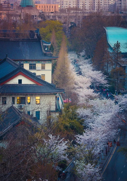 交通指南（据说有点用）