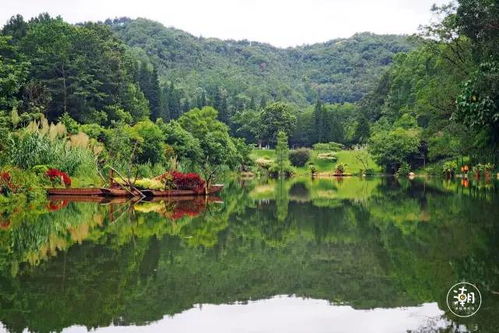 仙湖植物园: 绿意盎然的世外桃源
