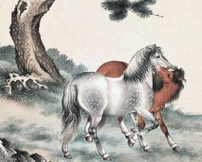 属马的人事业中哪位贵人最旺？