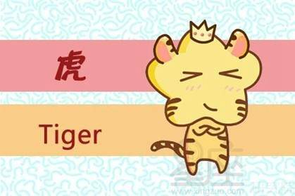 2026年属虎天蝎座每月运势中，学业运势具体表现如何？