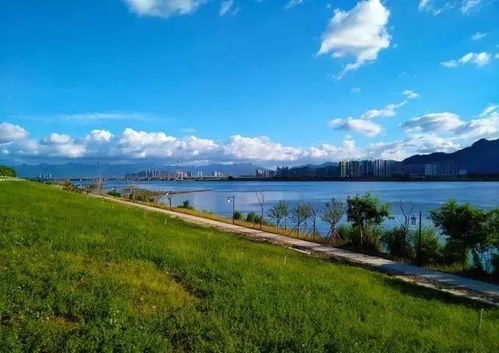 乌龙江湿地公园：荒野求生的绝佳训练场