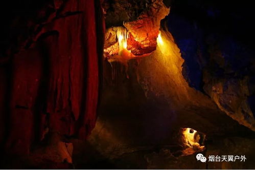 三、 阴风阵阵：禁忌之林的探险