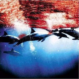 星座与灵魂伴侣