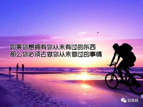 三、风水布局——随意堆砌几条所谓“黄金法则”