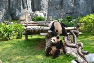 深度分析！为什么优惠这么多？