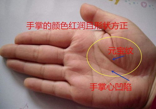 手中那些不为人知的秘密！