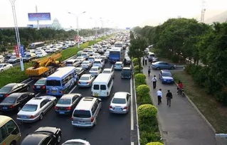 公交系统：一场惊心动魄的生存游戏