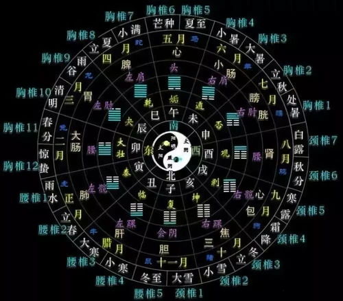 震惊！2026年你的身体部位竟暗藏这些宇宙密码