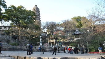 1. 门票信息