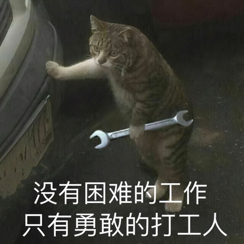 不是住不起五星级！是它们配不上我们！