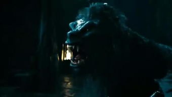 关于那个所谓的“阴气”