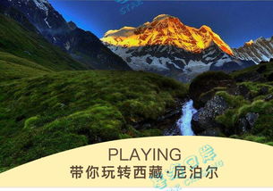 生命之源——奇怪动植物较大集合