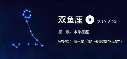 星座运势：揭秘十二星座今日运势， 掌握情感走向