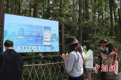 还有这些奇怪的新闻，跟旅游有啥关系？