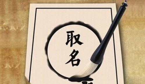 三、单字名 vs 双字名：简洁还是繁复？