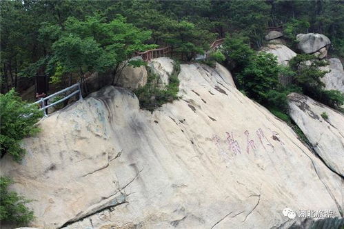 二、 乱七八糟的路线图