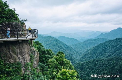 2. 香港的绿洲