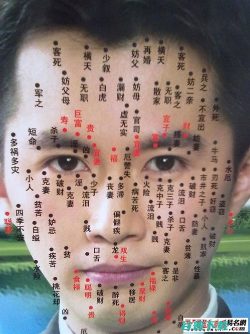 掌心有痣：富贵与权力的象征？（也许吧…）
