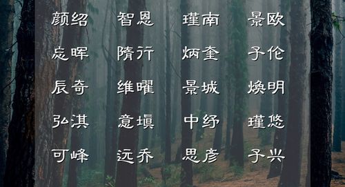 十一、“名字”打分参考