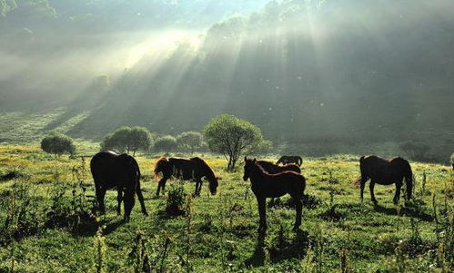 本地人都不说的秘密