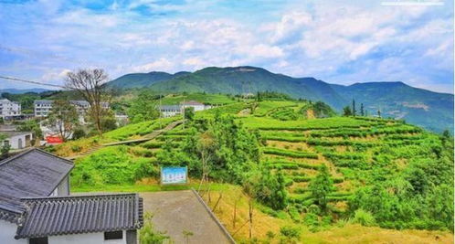 山门风景区：水墨丹青般的田园诗