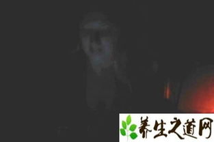 第二章：血泪之谜与生肖的纠葛