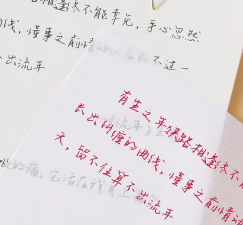 为哪些蓓字如此受欢迎？