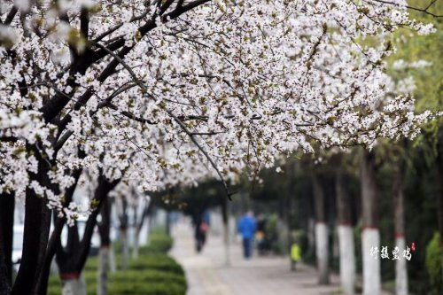 六、如何避免成为“旅游达人”标签下的笑柄？