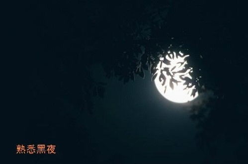 熟悉的陌生