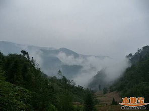 成温邛高速？那是“赶路人”的战场，不是“旅行者”的路